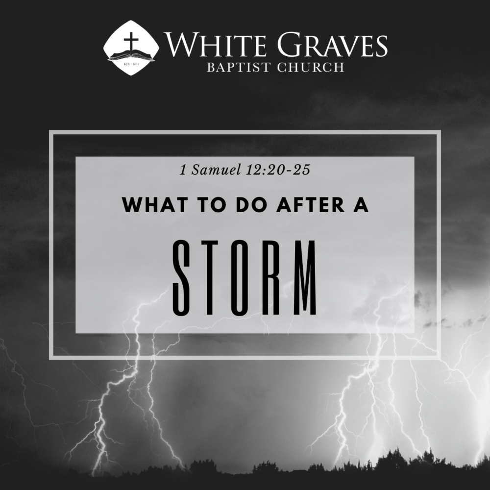 What to Do After a Storm Image